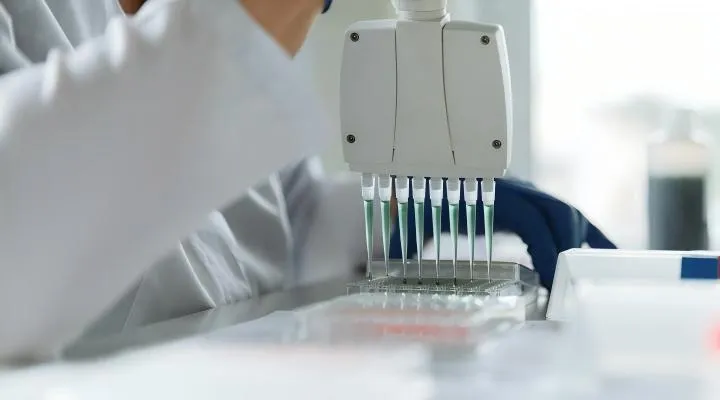 Eccellenza analitica e controllo qualità