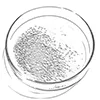 Derivati del glicolurile
